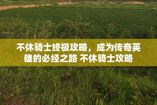 不休骑士终极攻略，成为传奇英雄的必经之路 不休骑士攻略