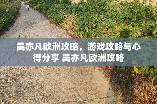 吴**欧洲攻略，游戏攻略与心得分享 吴**欧洲攻略