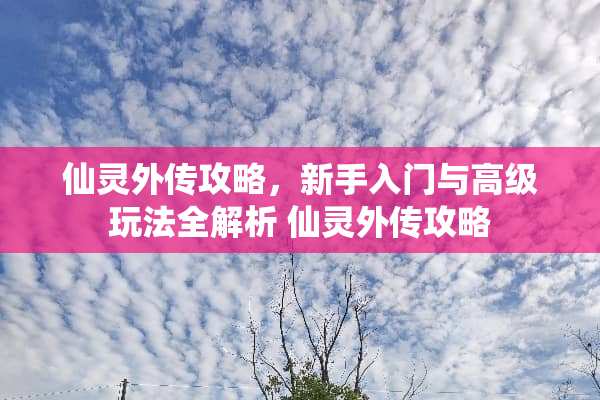仙灵外传攻略，新手入门与高级玩法全解析 仙灵外传攻略