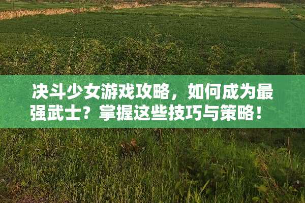 决斗少女游戏攻略，如何成为最强武士？掌握这些技巧与策略！ 决斗少女游戏攻略