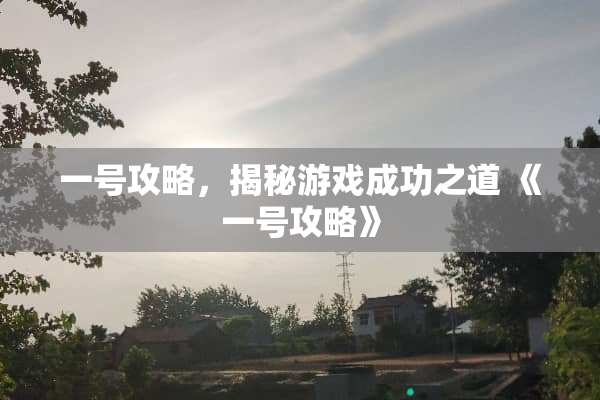 一号攻略，揭秘游戏成功之道 《一号攻略》