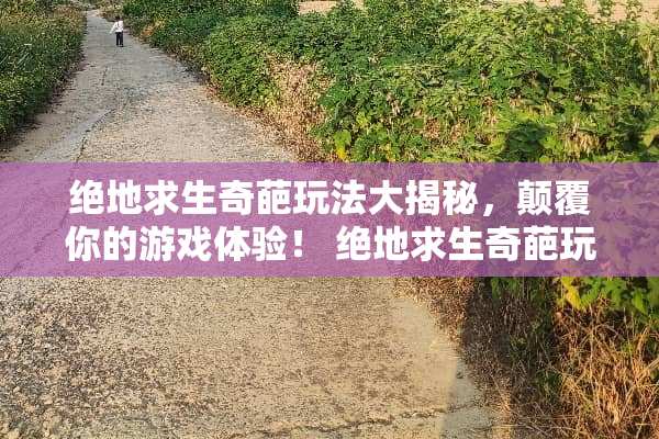 绝地求生奇葩玩法大揭秘，颠覆你的游戏体验！ 绝地求生奇葩玩法