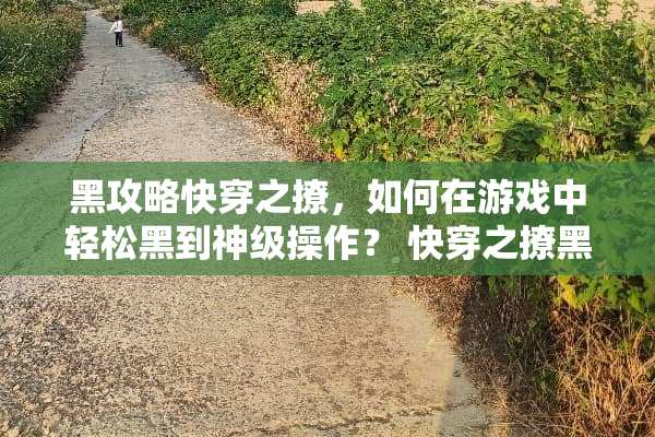 黑攻略快穿之撩，如何在游戏中轻松黑到神级操作？ 快穿之撩黑攻略