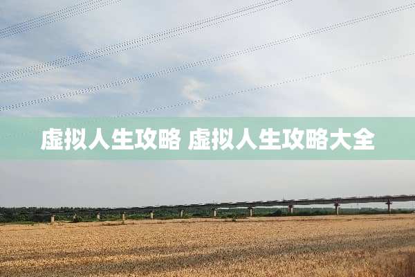 虚拟人生攻略 虚拟人生攻略大全