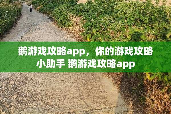 鹅游戏攻略app，你的游戏攻略小助手 鹅游戏攻略app