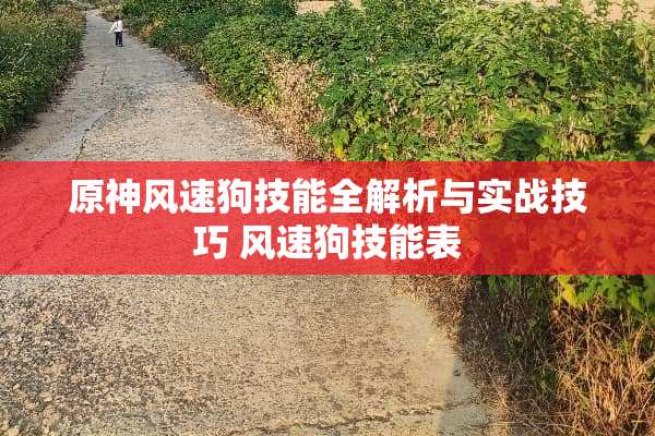 原神风速狗技能全解析与实战技巧 风速狗技能表