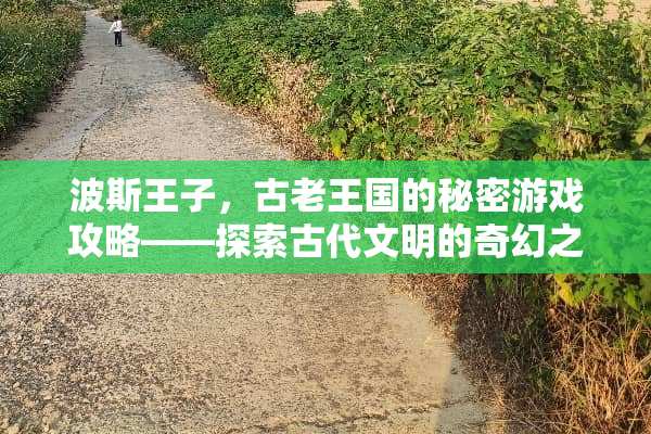 波斯王子，古老王国的秘密游戏攻略——探索古代文明的奇幻之旅 波斯王子游戏攻略