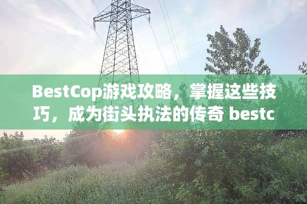 BestCop游戏攻略，掌握这些技巧，成为街头执法的传奇 bestcop游戏攻略
