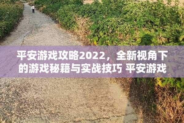 平安游戏攻略2022，全新视角下的游戏秘籍与实战技巧 平安游戏攻略2022