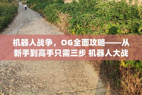 机器人战争，OG全面攻略——从新手到高手只需三步 机器**战ogs攻略
