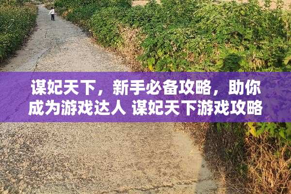 谋妃天下，新手必备攻略，助你成为游戏达人 谋妃天下游戏攻略