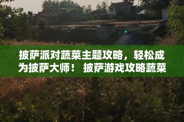 披萨派对蔬菜主题攻略，轻松成为披萨大师！ 披萨游戏攻略蔬菜