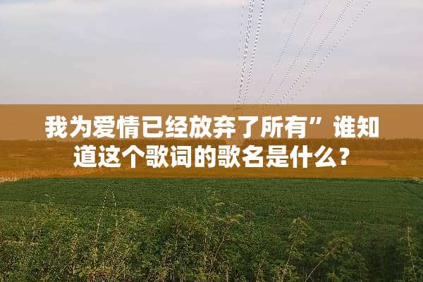 我为爱情已经放弃了所有”谁知道这个歌词的歌名是什么？