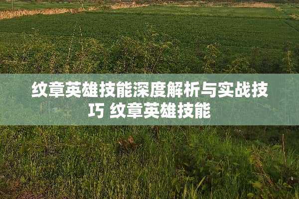 纹章英雄技能深度解析与实战技巧 纹章英雄技能