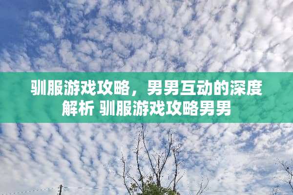 驯服游戏攻略，男男互动的深度解析 驯服游戏攻略男男