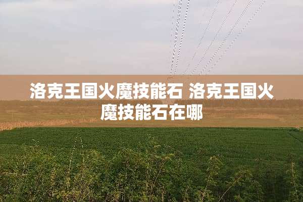 洛克王国火魔技能石 洛克王国火魔技能石在哪