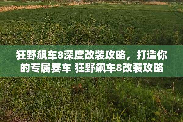 狂野飙车8深度改装攻略，打造你的专属赛车 狂野飙车8改装攻略