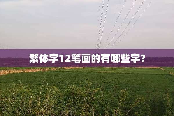繁体字12笔画的有哪些字？