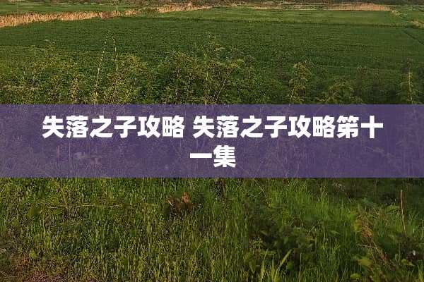 失落之子攻略 失落之子攻略笫十一集