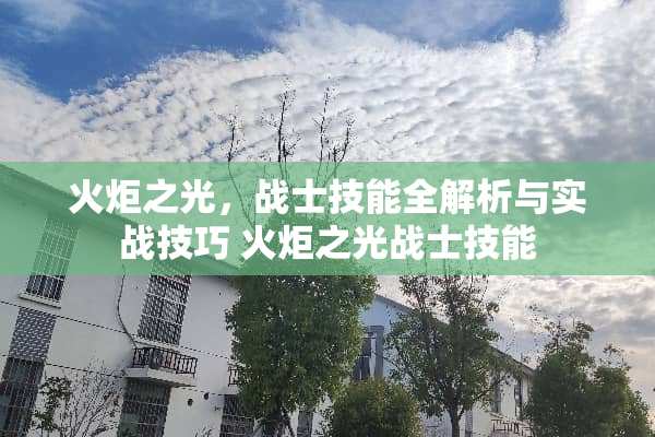 火炬之光，战士技能全解析与实战技巧 火炬之光战士技能