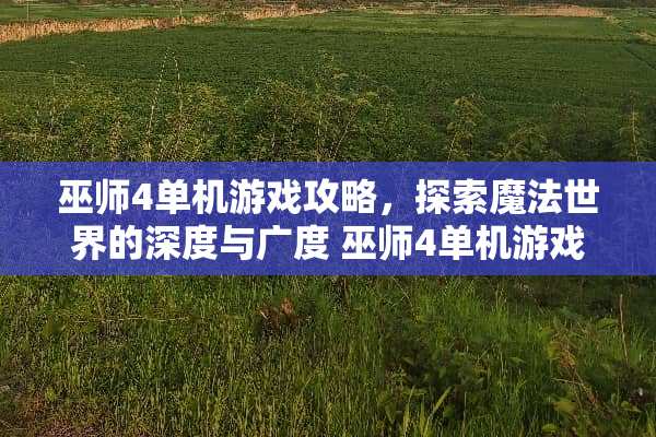 巫师4单机游戏攻略，探索魔法世界的深度与广度 巫师4单机游戏攻略