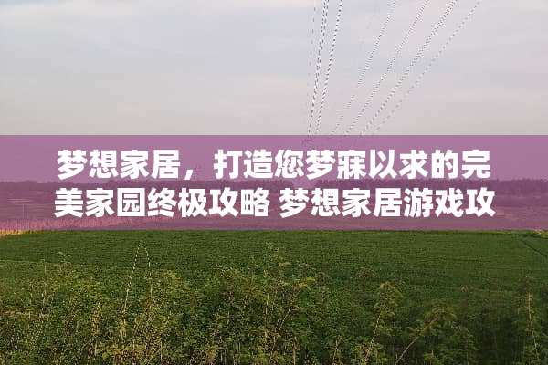 ***居，打造您梦寐以求的完美家园终极攻略***居游戏攻略