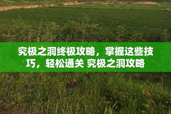 究极之洞终极攻略，掌握这些技巧，轻松通关 究极之洞攻略