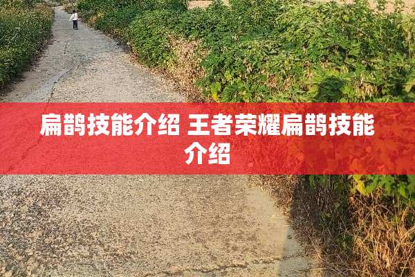 扁鹊技能介绍 王者荣耀扁鹊技能介绍