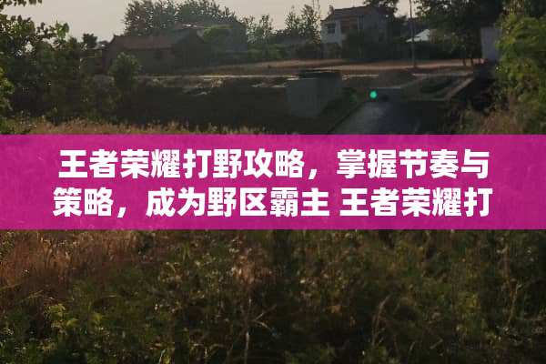 王者荣耀打野攻略，掌握节奏与策略，成为野区霸主 王者荣耀打野攻略