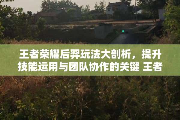 王者荣耀后羿玩法大剖析，提升技能运用与团队协作的关键 王者荣耀后羿的玩法