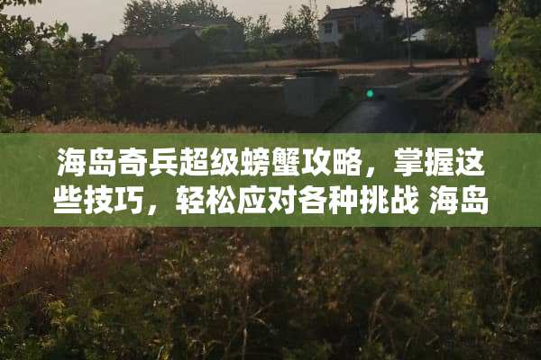 海岛奇兵超级螃蟹攻略，掌握这些技巧，轻松应对各种挑战 海岛奇兵超级螃蟹攻略