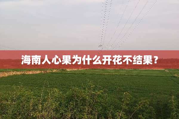 海南人心果为什么开花不结果？