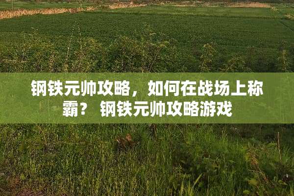 钢铁元帅攻略，如何在战场上称霸？ 钢铁元帅攻略游戏
