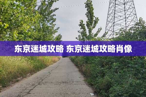 东京迷城攻略 东京迷城攻略肖像