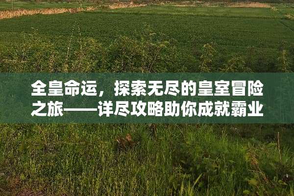 全皇命运，探索无尽的皇室冒险之旅——详尽攻略助你成就霸业 全皇命运游戏攻略