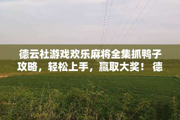 德云社游戏欢乐**全集抓鸭子攻略，轻松上手，赢取大奖！ 德云社游戏抓鸭子攻略