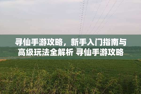 寻仙手游攻略，新手入门指南与高级玩法全解析 寻仙手游攻略