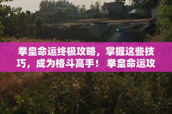 拳皇命运终极攻略，掌握这些技巧，成为格斗高手！ 拳皇命运攻略