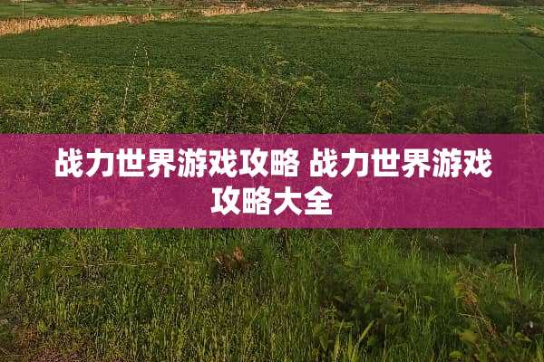 战力世界游戏攻略 战力世界游戏攻略大全