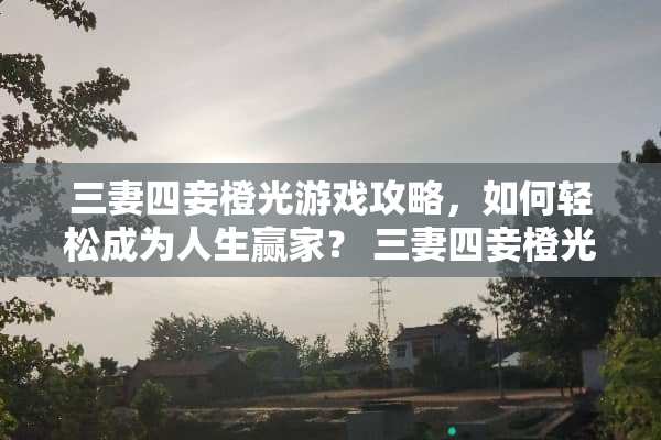 三妻四妾橙光游戏攻略，如何轻松成为人生**？ 三妻四妾橙光游戏攻略
