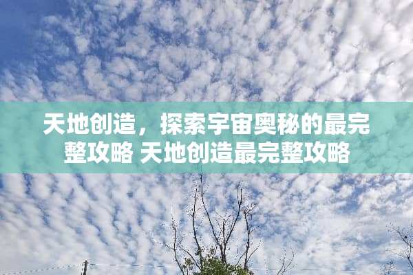 天地创造，探索宇宙奥秘的最完整攻略 天地创造最完整攻略
