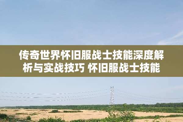 传奇世界**服战士技能深度解析与实战技巧**服战士技能