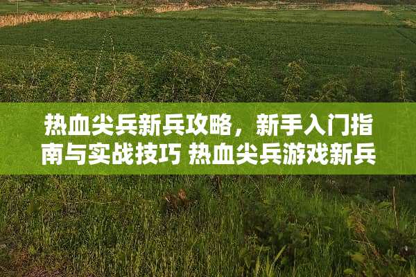 热血尖兵新兵攻略，新手入门指南与实战技巧 热血尖兵游戏新兵攻略
