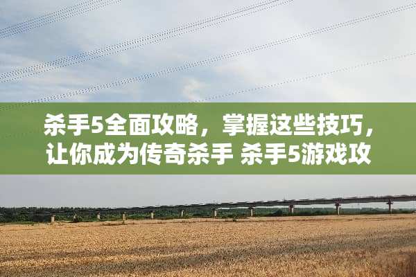 **5全面攻略，掌握这些技巧，让你成为传奇****5游戏攻略