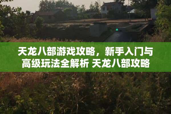 天龙八部游戏攻略，新手入门与高级玩法全解析 天龙八部攻略