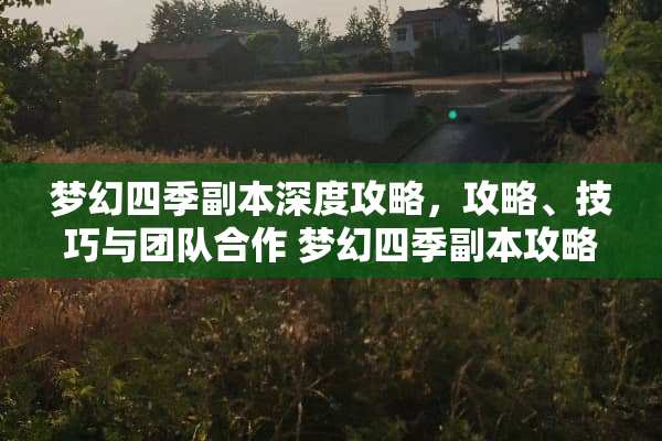 梦幻四季副本深度攻略，攻略、技巧与团队合作 梦幻四季副本攻略