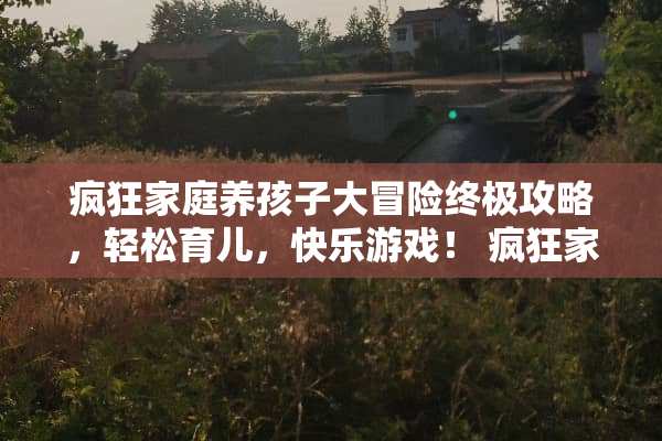 疯狂家庭养孩子大冒险终极攻略，轻松育儿，快乐游戏！ 疯狂家庭养孩子游戏攻略