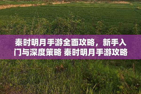 秦时明月手游全面攻略，新手入门与深度策略 秦时明月手游攻略