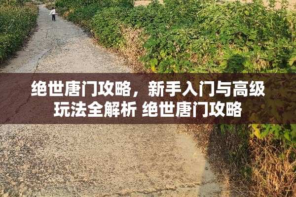 绝世唐门攻略，新手入门与高级玩法全解析 绝世唐门攻略