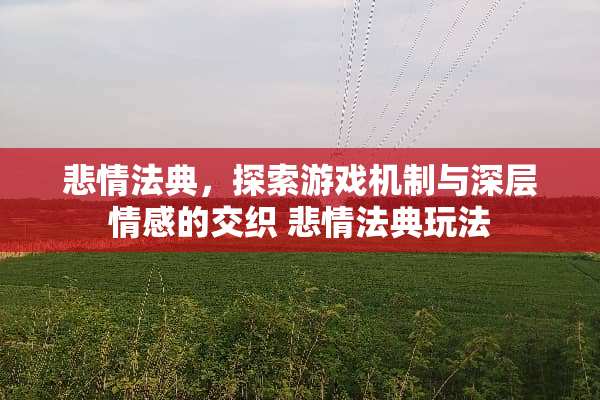 悲情法典，探索游戏机制与深层情感的交织 悲情法典玩法